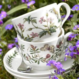 Чашка для сніданку Portmeirion Botanic Garden зі знижкою купити в Києві. Є можливість самовивізу й безкоштовна доставка.