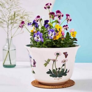 Кашпо Portmeirion Botanic Garden зі знижкою купити в Києві. Доступний самовивіз і безкоштовна доставка. Доставка 0-2 дні