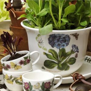 Кашпо Portmeirion Botanic Garden зі знижкою купити в Києві. Доступний самовивіз і безкоштовна доставка. Доставка 0-2 дні