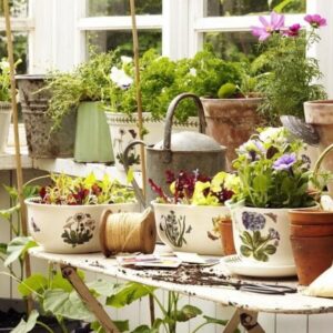Кашпо Portmeirion Botanic Garden зі знижкою купити в Києві. Доступний самовивіз і безкоштовна доставка. Доставка 0-2 дні