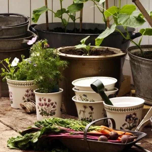 Кашпо Portmeirion Botanic Garden - Зображення 9