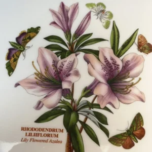 Блюдо для запікання Portmeirion Botanic Garden малюнок Азалія та метелики 38см порцеляна лавровий вінок дизайн Англія якість