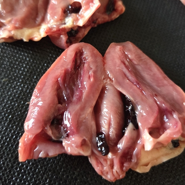 Курячі сердечка: рецепт метелика Хацу на шпажках у соусі Таре і техніці Теріякі подаємо на тарілці Portmeirion Botanic Garden присипавши чилі.