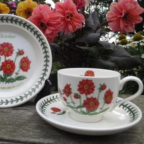Чашки чаїні з блюдцями Portmeirion Botanic Garden із зображенням різних квітів та метеликів виготовлені в Англії