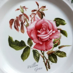 Купити тарілку столову Portmeirion Botanic Roses ціна зі знижкою