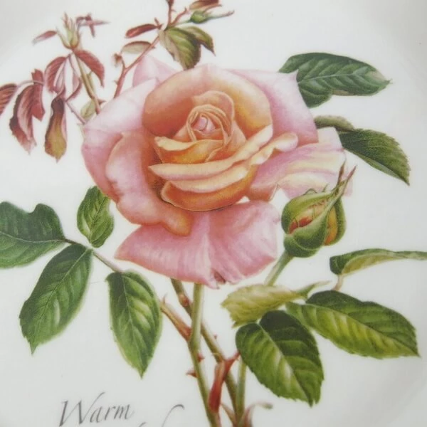Тарілка Portmeirion Botanic Roses із вишуканим малюнком сортової троянди вікторіанської епохи виготовлена в Англії