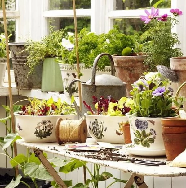 Кашпо Portmeirion Botanic Garden з різними малюнками квітів та лавровим вінком оригінального англійського дизайну
