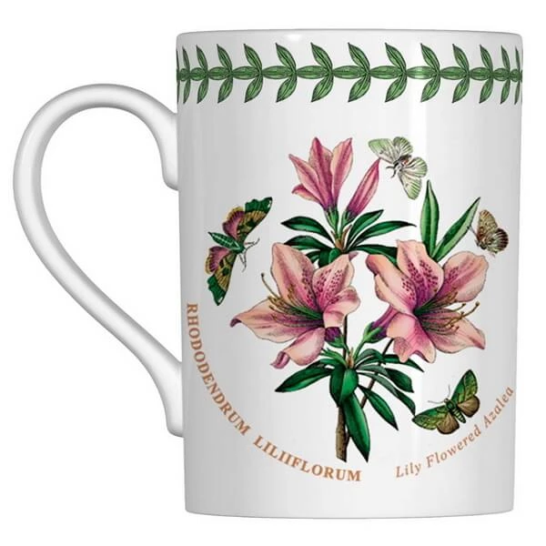 Купити кухоль чайний Portmeirion Botanic Garden зі знижкою в Києві - безкоштовна доставка 0-2 дні або самовивіз. Посуда Portmeirion Botanic Garden купить