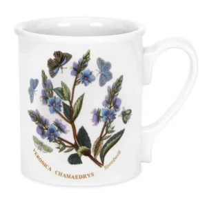 Кружка кавова Portmeirion Botanic Garden со скидкой и доставкой сегодня! Также есть возможность самовывоза и бесплатная доставка.