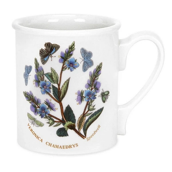 Кружка кавова Portmeirion Botanic Garden со скидкой и доставкой сегодня! Также есть возможность самовывоза и бесплатная доставка.