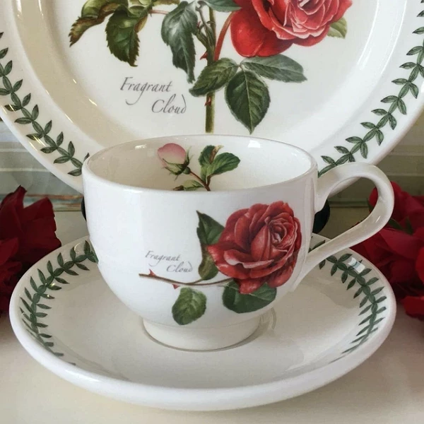 Чашка чайна Portmeirion Botanic Roses з блюдцем